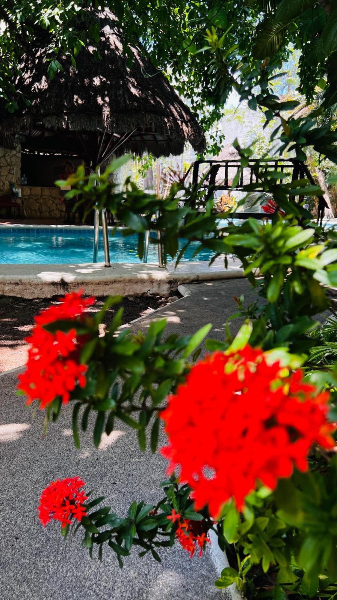Mayan Art Hotel 10 Avenue Playa del Carmen Buitenkant foto